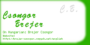 csongor brejer business card